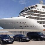 Full Day Private Shore Tour in St Maarten from Philipsburg Port - What Travelers Say