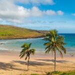 Full Day Private Tour: Factory of the Moai the stone giants - Who Will Love This Tour?