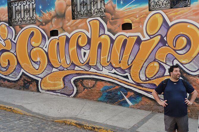 Full Day Private Tour in Casablanca Valparaíso and Viña del Mar - Why This Tour Fits Certain Travelers