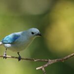 Full Day Private Tour in Monteverde, Costa Rica - Practical Considerations and Tips