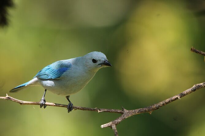 Full Day Private Tour in Monteverde, Costa Rica - Practical Considerations and Tips