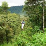 Full-Day Private Tour of Mindo Cloud Forest - What the Reviews Tell Us