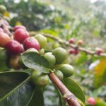 Full Day Private Tour to Guatapé and El Peñol - A Deep Dive into the Full Day Experience