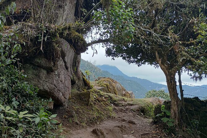 Full-Day Private Tour to La Chorrera Waterfall and El Chiflón - The Value Proposition