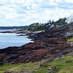 Full Day Private Tour to Punta del Este - Why This Tour Works Well