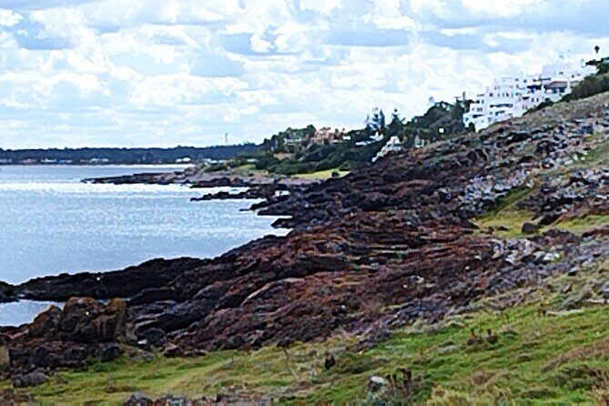 Full Day Private Tour to Punta del Este - Why This Tour Works Well