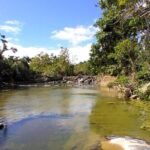 Full Day Punta Cana Safari with Lunch by the River - Practical Details and Tips