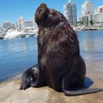 Full Day Punta del Este - Final thoughts