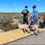 Full Day Punta Tombo Penguin Paradise - Diving Deeper into the Experience