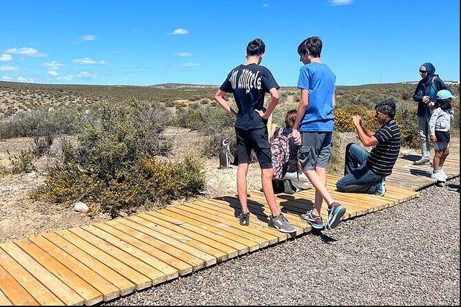 Full Day Punta Tombo Penguin Paradise - Diving Deeper into the Experience