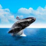 Full-Day Samana with Waterfall & Bacardi Island from Punta Cana - Who Should Book This Tour?