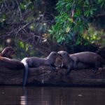 Full day Sandoval Lake - Final Thoughts: Is It Worth It?