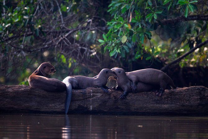 Full day Sandoval Lake - Final Thoughts: Is It Worth It?