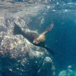 Full Day Santa Fe and Playa escondida with Snorkeling and lunch Included - Transportation, Group Size, and Practicalities