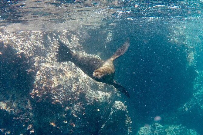 Full Day Santa Fe and Playa escondida with Snorkeling and lunch Included - Transportation, Group Size, and Practicalities