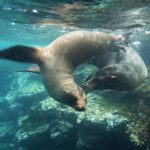 Full Day Santa Fe & " Playa escondida" snorkeling tour - What We Love About This Tour