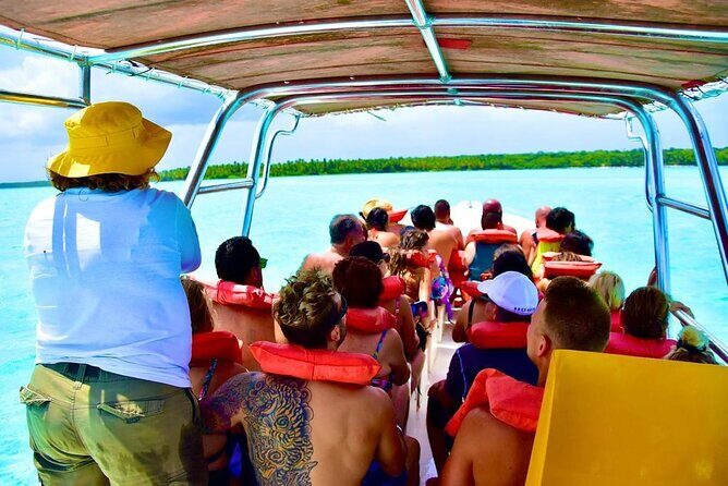 Full day Saona Island All Inclusive Adventure - Why Choose This Tour?