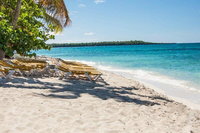 Full-Day Scuba Diving Catalina Island Tour from Bavaro - What We Love About This Tour