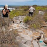 Full Day Seymour North Island & Las Bachas - What Travelers Say