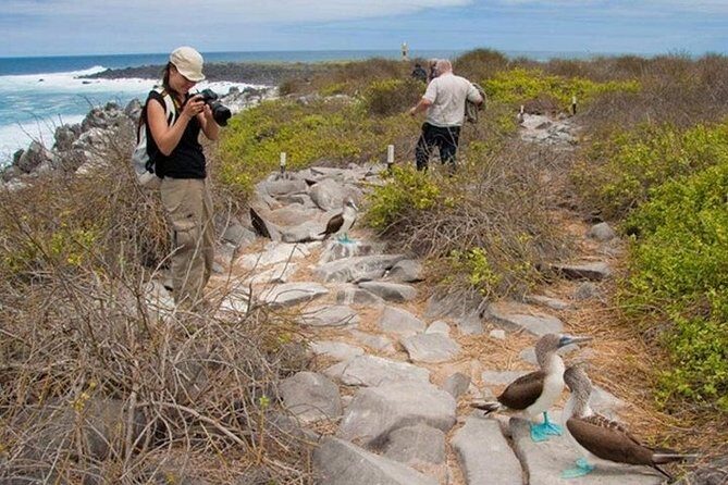 Full Day Seymour North Island & Las Bachas - What Travelers Say