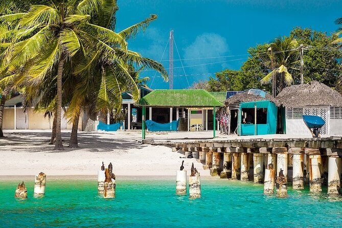 Full-Day Snorkeling Adventure at Catalina Island from Punta Cana - What’s Included and What’s Not