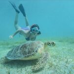 Full-Day Snorkeling Tour to Culebra Island with Lunch - Who Should Take This Tour?