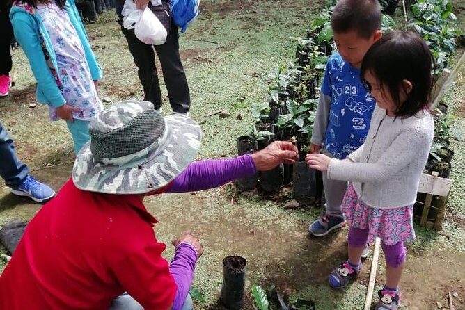 Full day, the Aquiares way - Complete Coffee Tour - FAQ