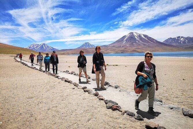Full Day Tour Altiplanicas and Piedras Rojas Lagoon with Food - The Sum Up