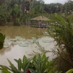 Full day tour amazon river 2020 - Final Thoughts: Is It Worth It?