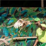 Full day tour aviary with beach in Baru with lunch - Detailed Breakdown of the Tour