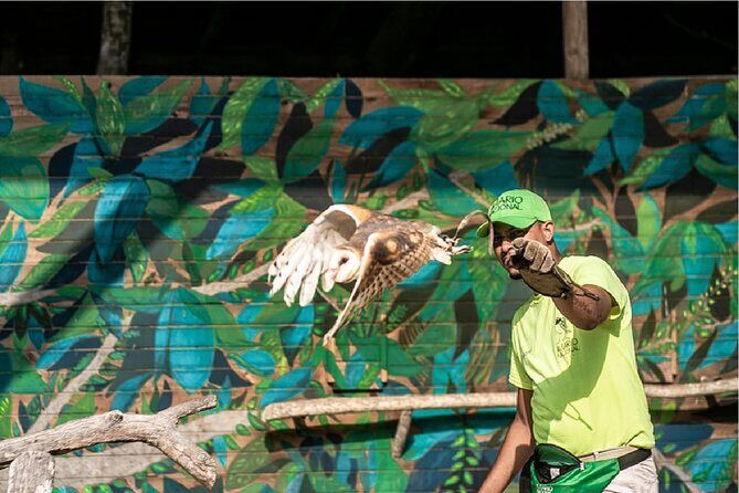 Full day tour aviary with beach in Baru with lunch - Detailed Breakdown of the Tour