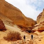 Full Day Tour Canyon of the Lost in Ica Desert - Who Should Consider This Tour?