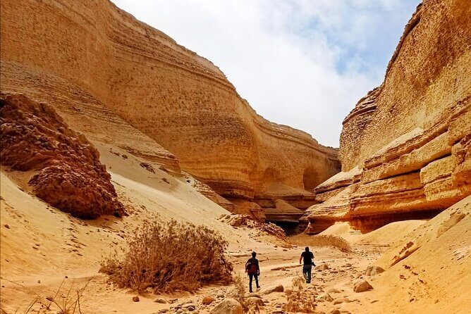 Full Day Tour Canyon of the Lost in Ica Desert - Who Should Consider This Tour?