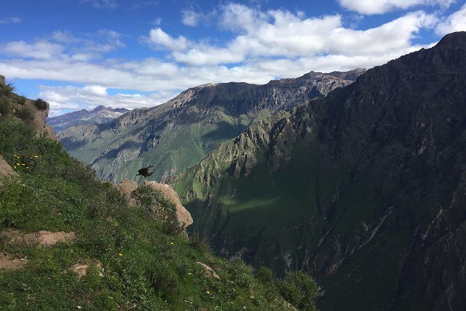 Full Day Tour / Colca Canyon - Final Thoughts