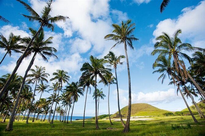 Full day tour - DREAM - Who Should Consider This Tour?