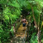 Full-Day Tour: El Yunque, Luquillo Beach, Bio Bay Night Kayaking - Who Will Love This Tour?