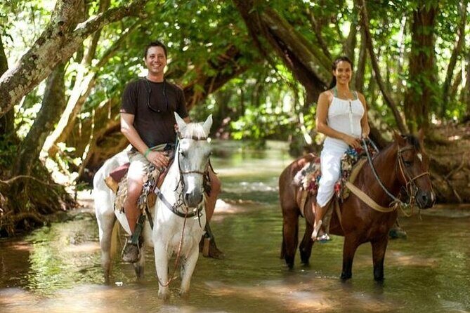 Full-Day Tour in Cap Cana with Buggy and Horseback Riding Experience - Who Will Love This Tour?