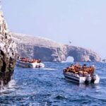 Full day tour in Ica -Paracas - Overall Value and Experience