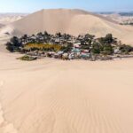 Full Day Tour in Ica Paracas and Huacachina from Lima - The Experience and Why It Works for Travelers
