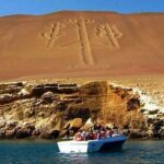 Full Day Tour in Lima Paracas Ica - What Travelers Say: Authentic Feedback