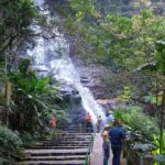 Full Day Tour in Rio: Corcovado, Selaron Steps and Park Lage - Who Should Consider This Tour?