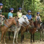 Full Day Tour in Samana and visit to Cascada el Limón - Transportation, Group Size, and Practicalities