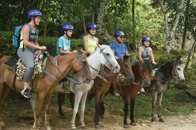 Full Day Tour in Samana and visit to Cascada el Limón