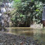 Full Day Tour in Tobago Island with Lunch - Frequently Asked Questions