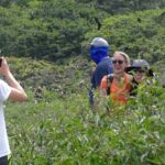 Full Day Tour Mangroves Dolphins and Birds from Guayaquil - Who Will Love This Tour?