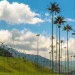 Full Day Tour of Cocora Valley, Salento, and Coffee Farm Tour (from Pereira) - Who Should Consider This Tour?