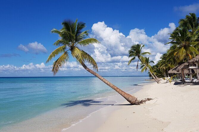 Full-Day Tour of Saona Island from Punta Cana - More Details to Consider