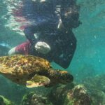 Full Day Tour Pinzon Island + La Fe/Las Palmas - Snorkeling & Fishing - Authentic Experiences and What Travelers Say