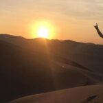 Full day tour sandboarding in Huacachina from Lima - Who’s This Tour Best For?
