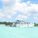 Full Day Tour Saona Island by speedboat from Punta Cana - Practical Details That Matter